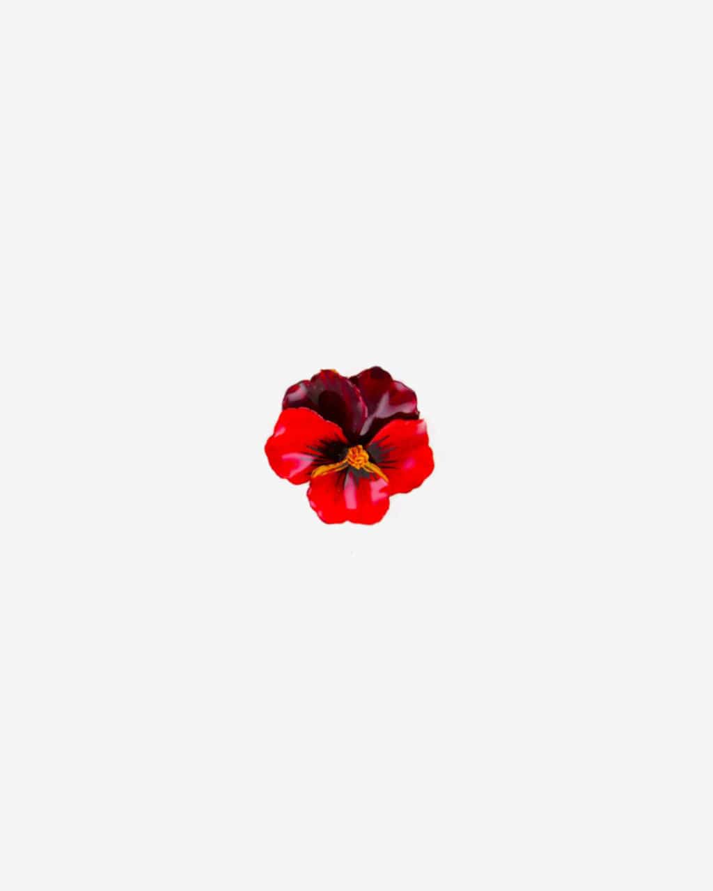 Bague en fleur rouge Pensée Viola pour femme réalisée à la main en France.