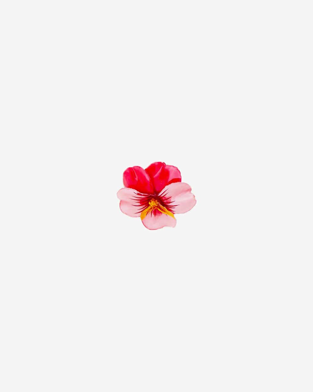 bague en fleur délicate qui représente la fleur pensée rose