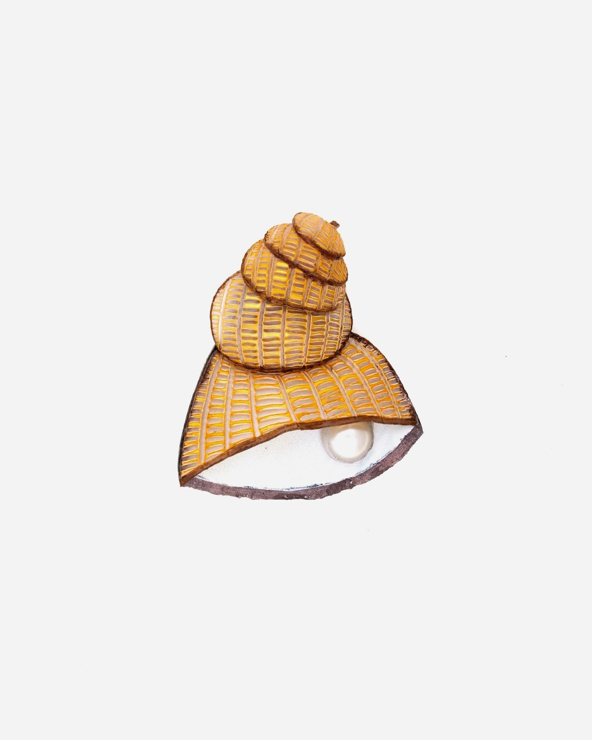 la broche saint malo est l'un des bijoux coquillage tendance de l'année