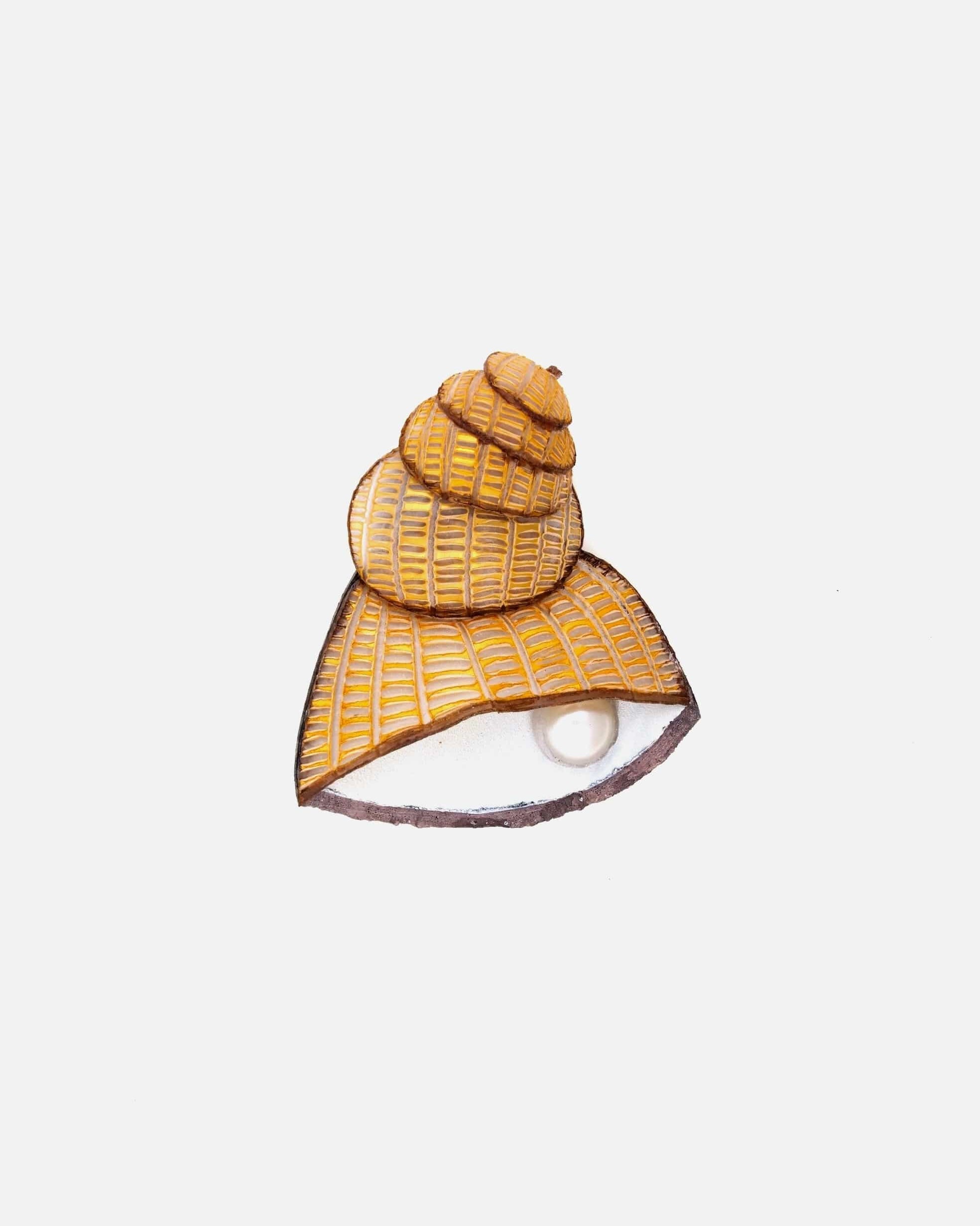 la broche saint malo est l'un des bijoux coquillage tendance de l'année