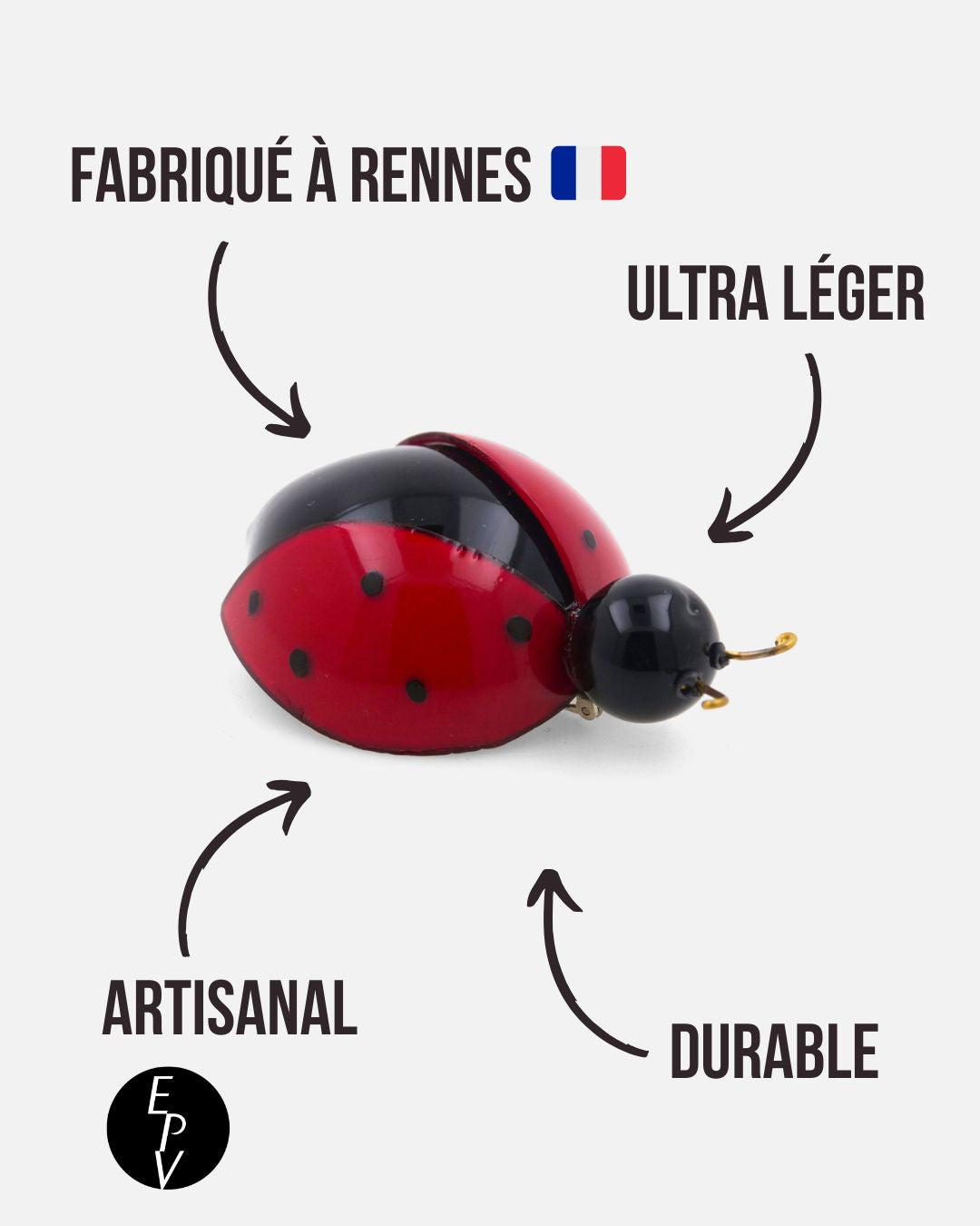 all-groups broche femme fantaisie coccinelle entourée d'informations