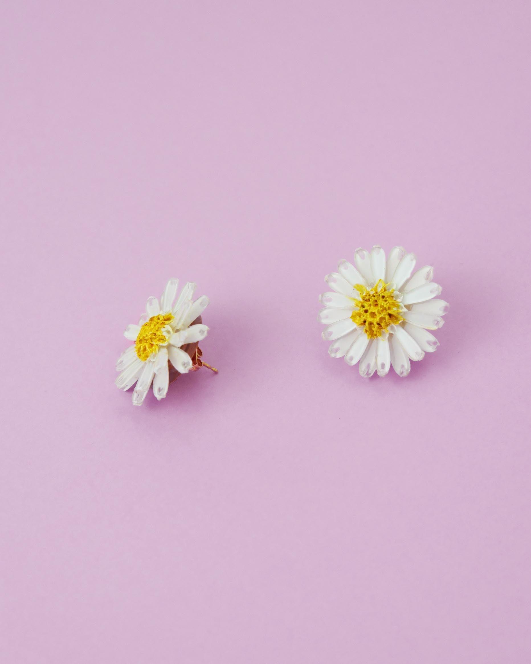 all-groups Petites boucles d'oreilles pâquerette blanches et jaunes