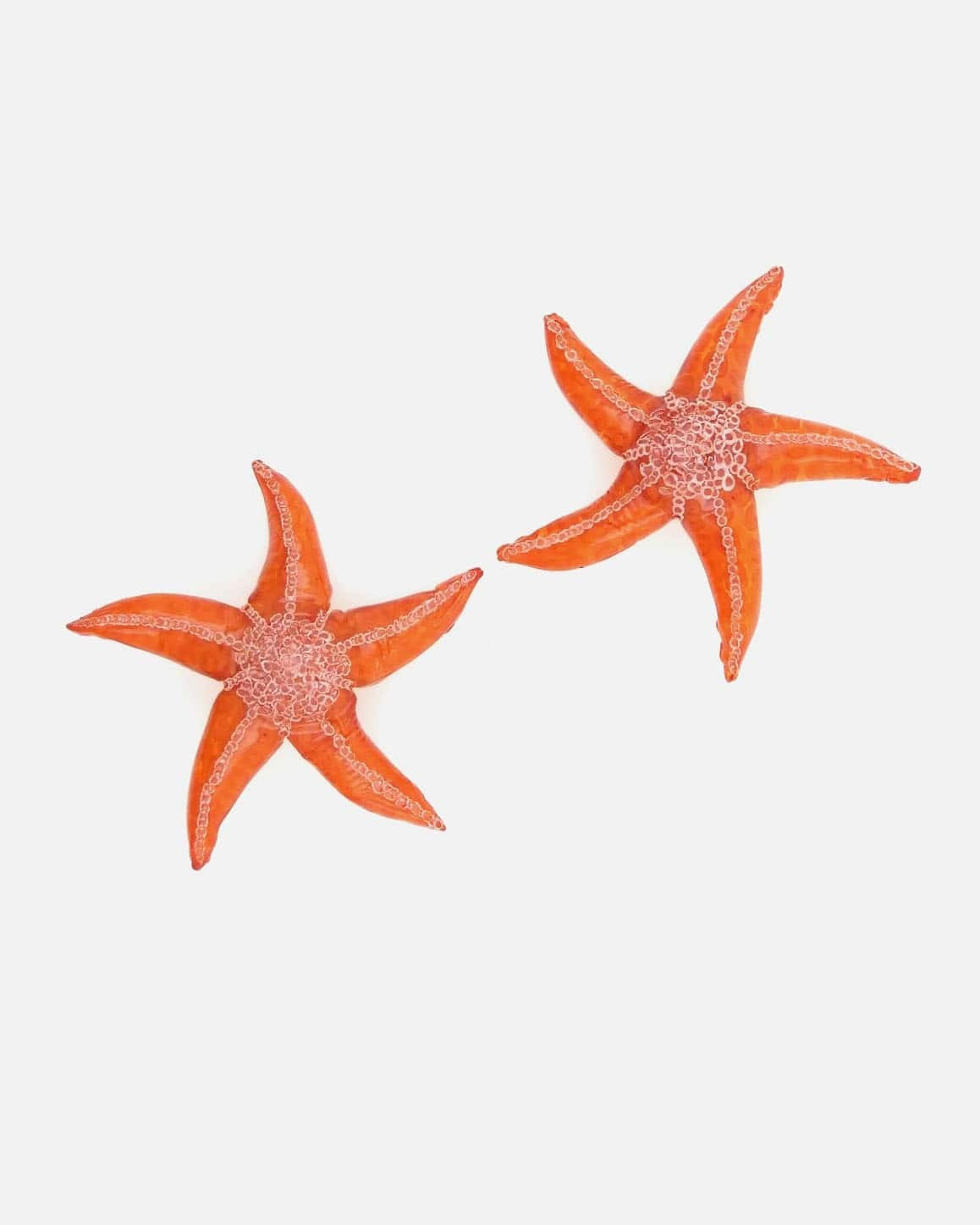 Boucle d'oreille artisanale étoile de mer orange