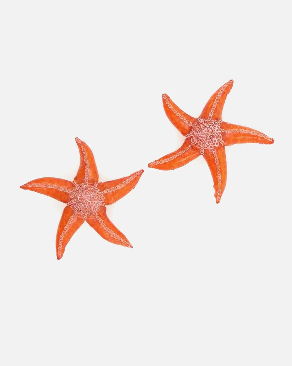 Boucle d'oreille artisanale étoile de mer orange