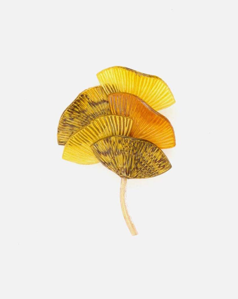 broche feuilles jaune cilea bijoux