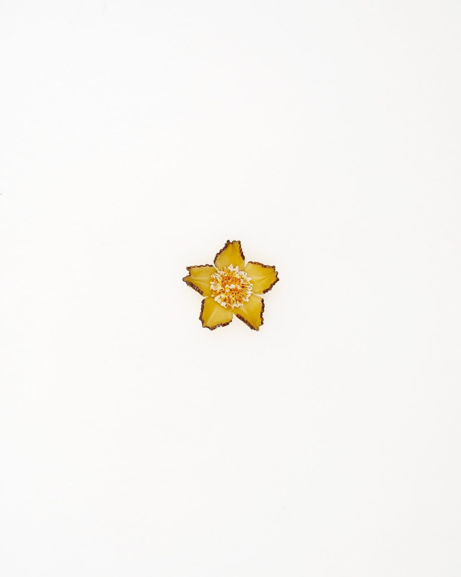 Ciléa Paris présente le pendentif Tuba jaune unique conçu à Rennes en France.