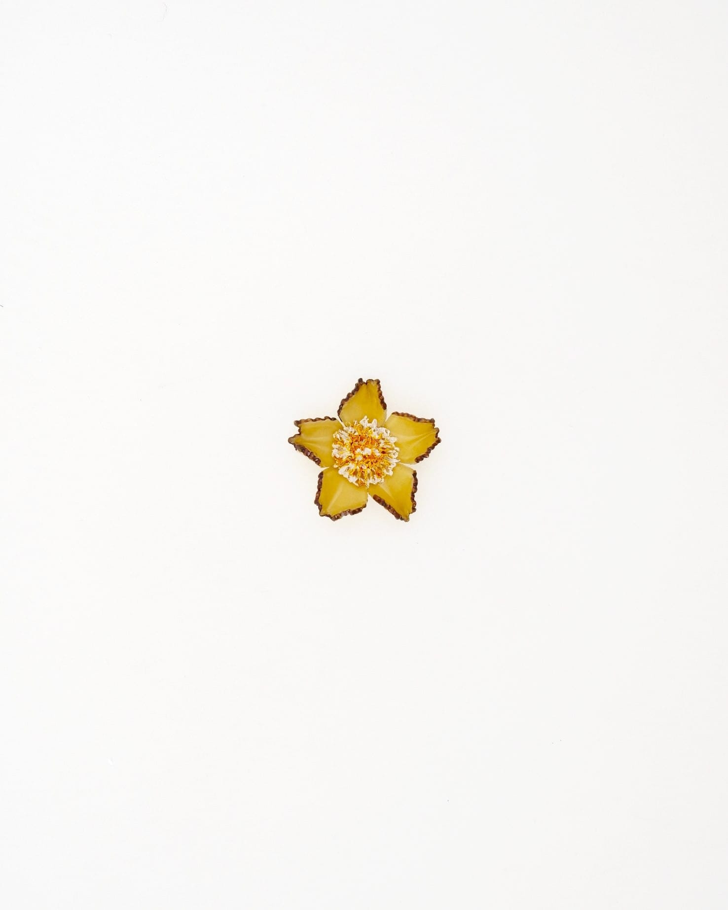 Ciléa Paris présente le pendentif Tuba jaune unique conçu à Rennes en France.