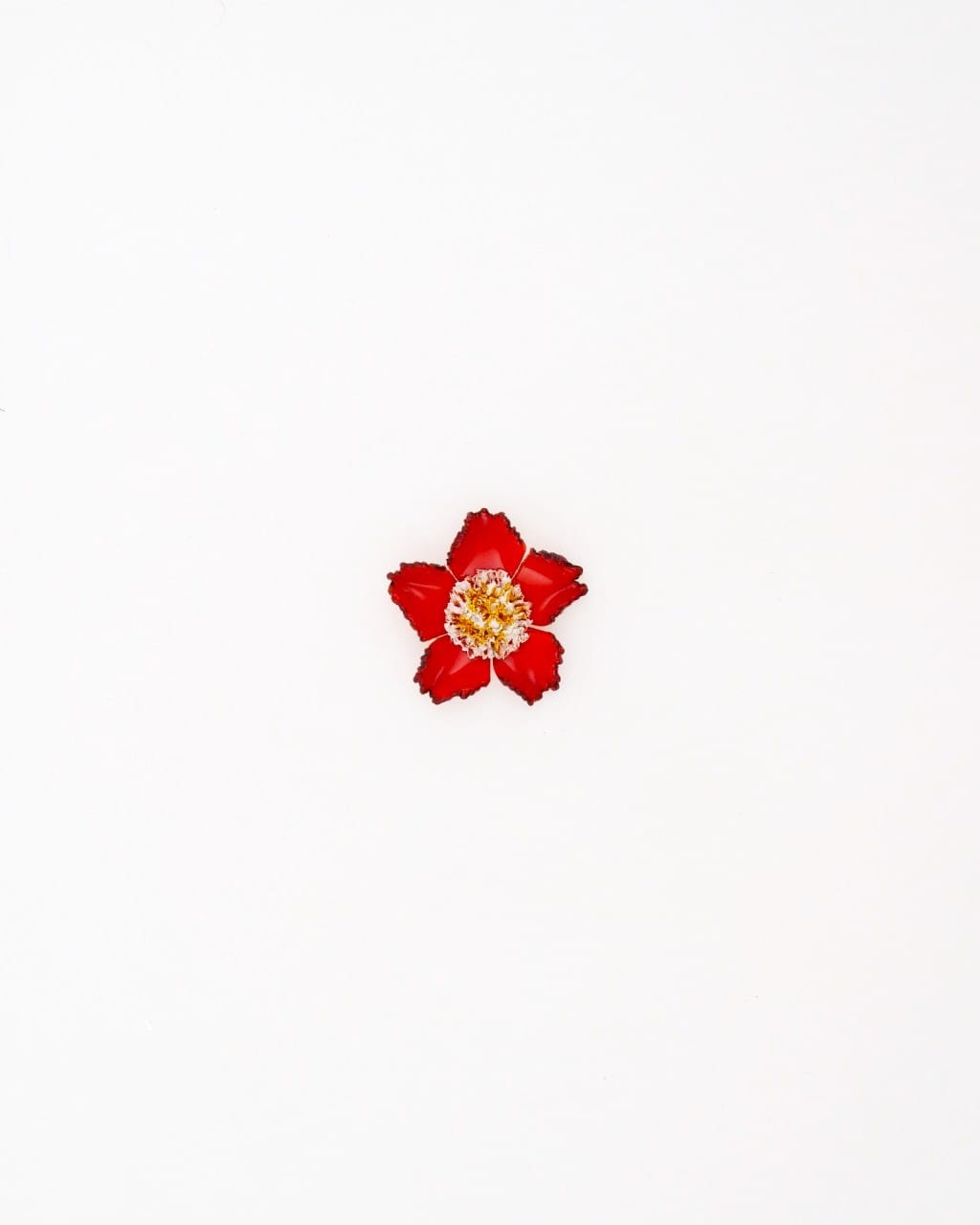 Chaque bijou représente la nature qui nous entoure, c'est le cas pour le pendentif Tuba rouge Ciléa Paris qui représente une petite fleur japonaise.