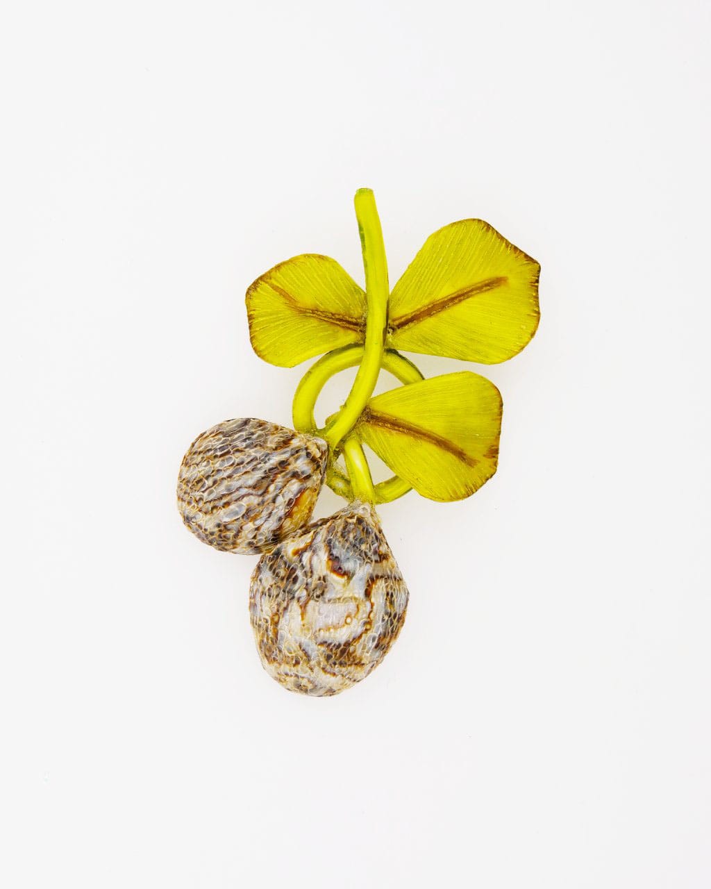 La pièce unique n°24 est le cadeau broche à offrir par Ciléa Paris.