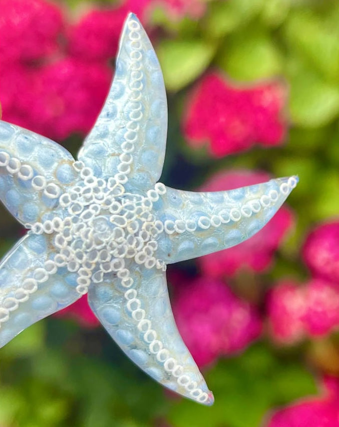 all-groups boucle d'oreille femme etoile de mer