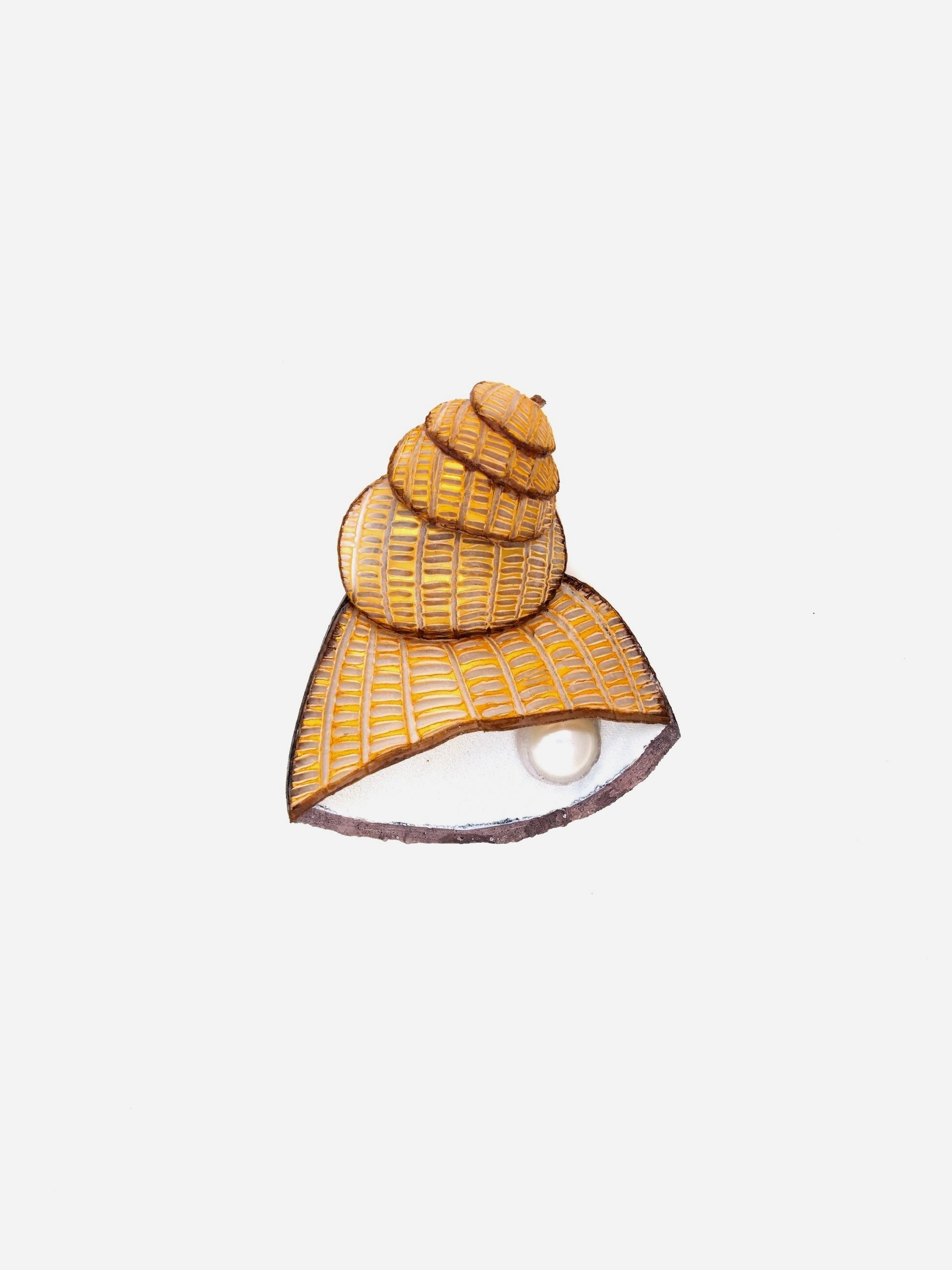 la broche saint malo est l'un des bijoux coquillage tendance de l'année