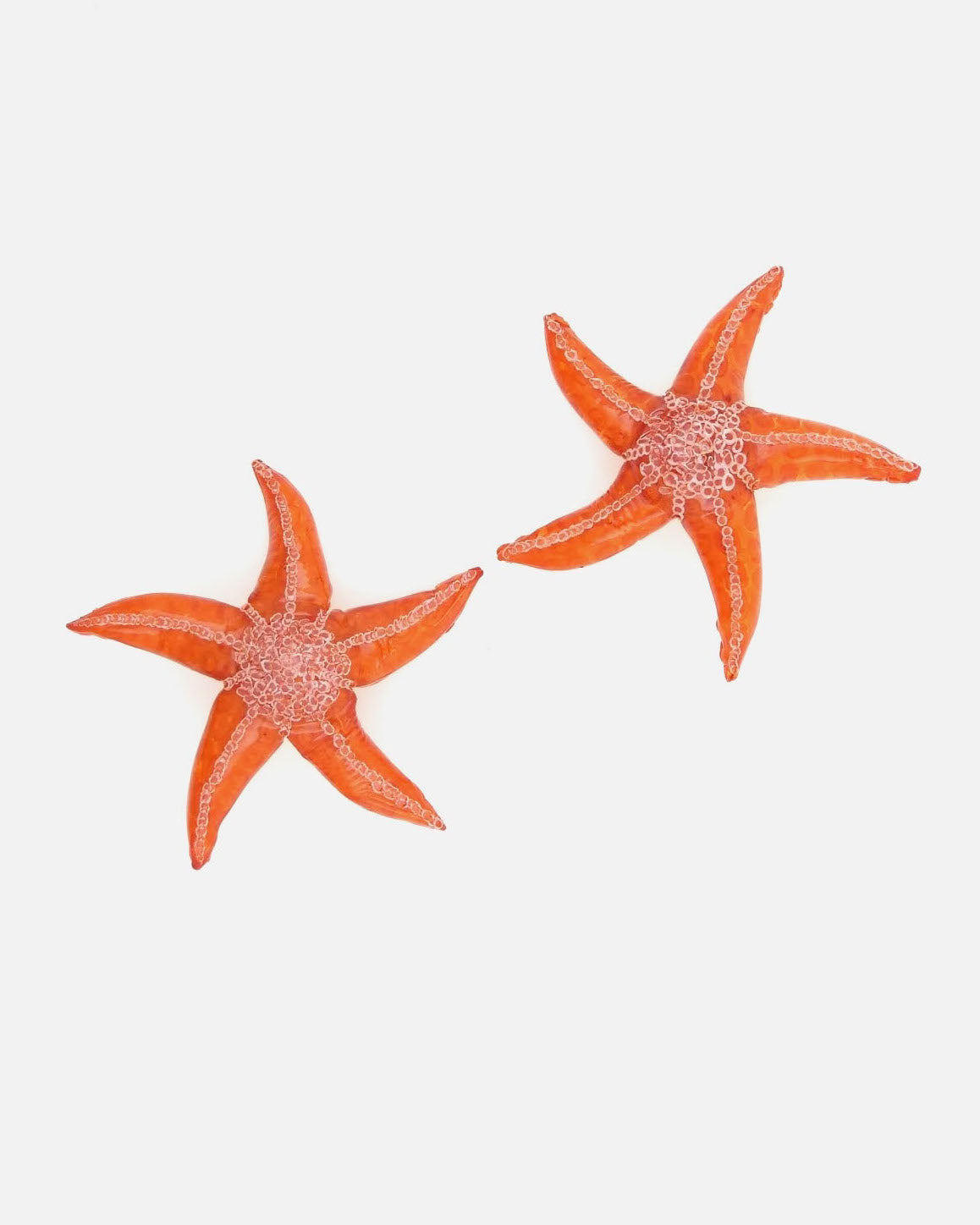 Boucle d'oreille artisanale étoile de mer orange